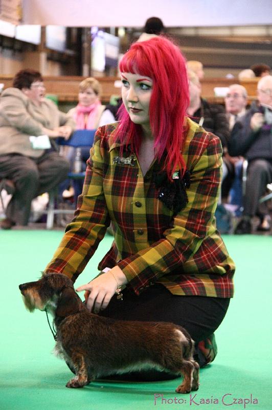 Crufts2011_2 1631.jpg